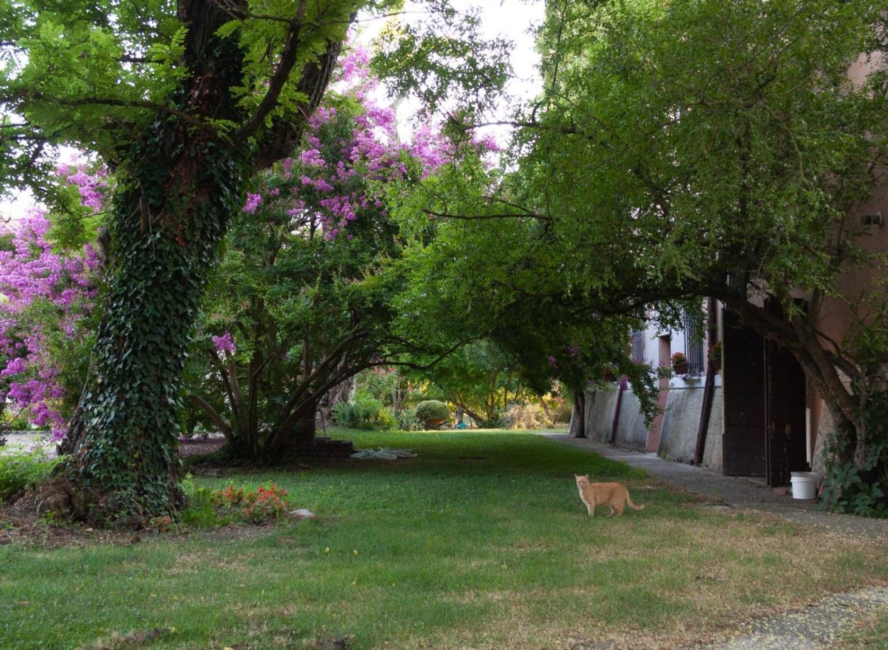 Ca Morari Bed & Breakfast Argenta ภายนอก รูปภาพ